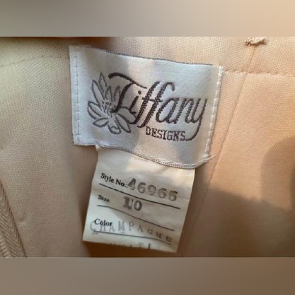 Tiffany Champagne Prom Gown Size 10 (Would fit 8) - Picture 7 of 9